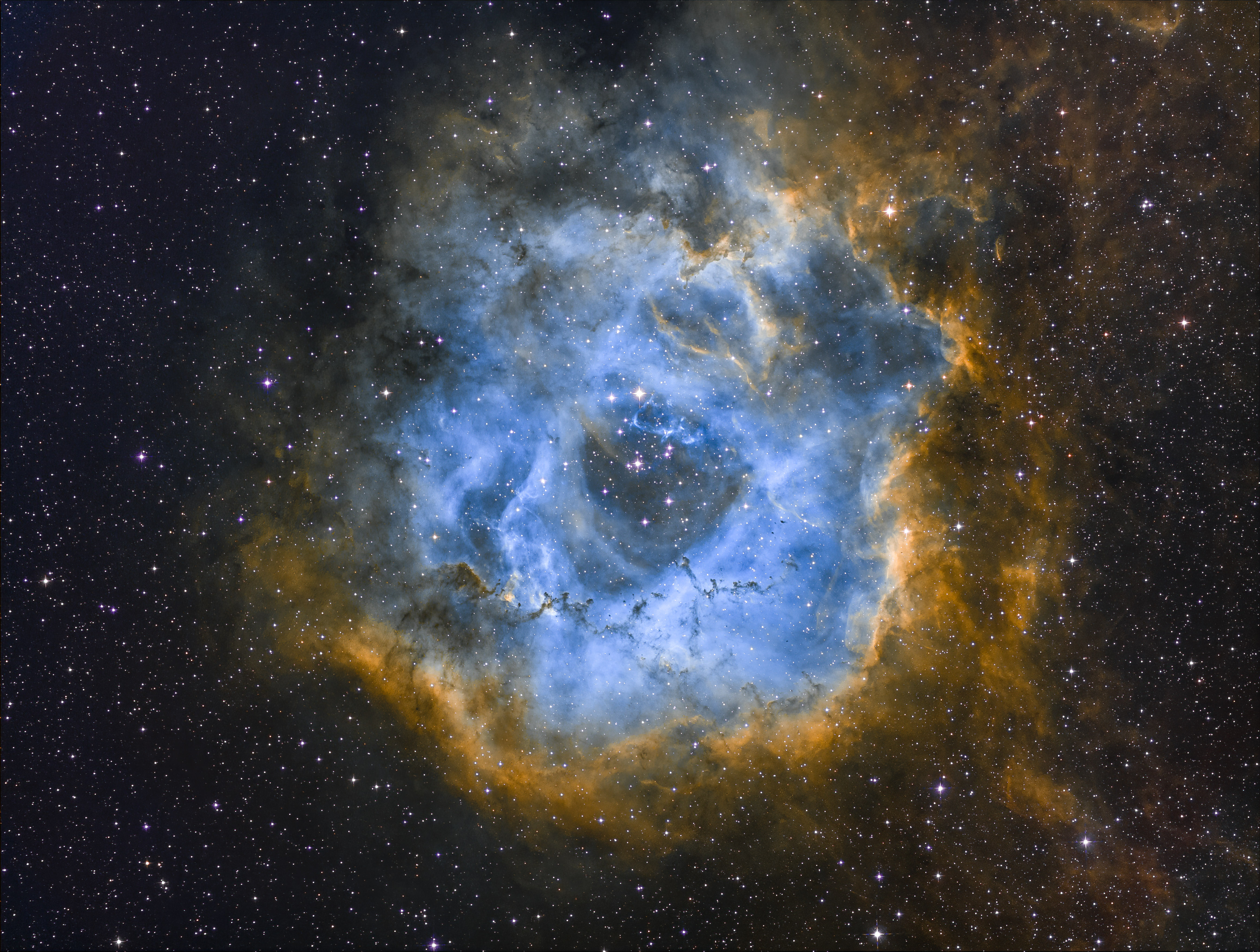 NGC 2246